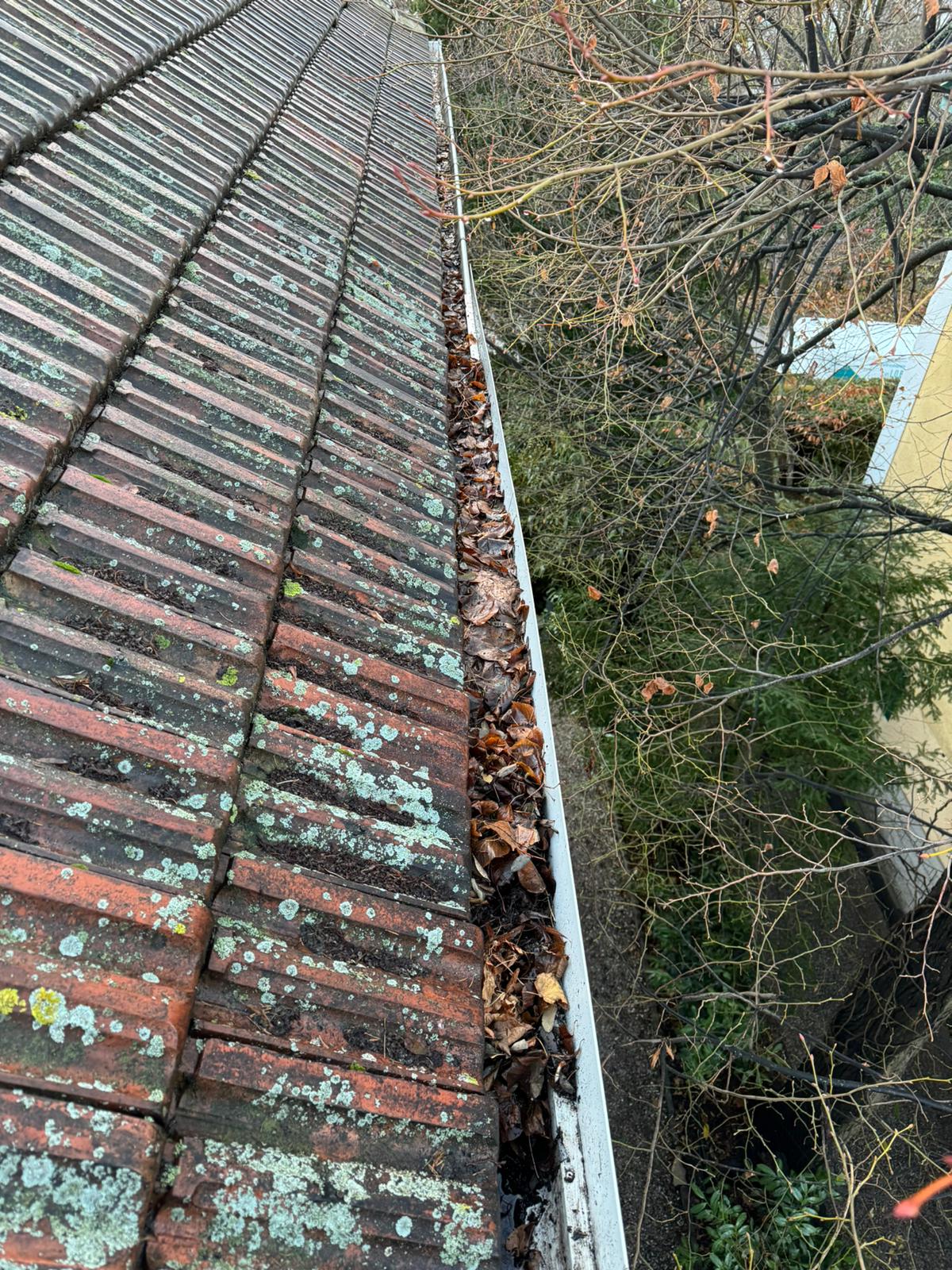 Dachwartung und Dachrinnenreinigung – Erhaltung der Gebäudeintegrität